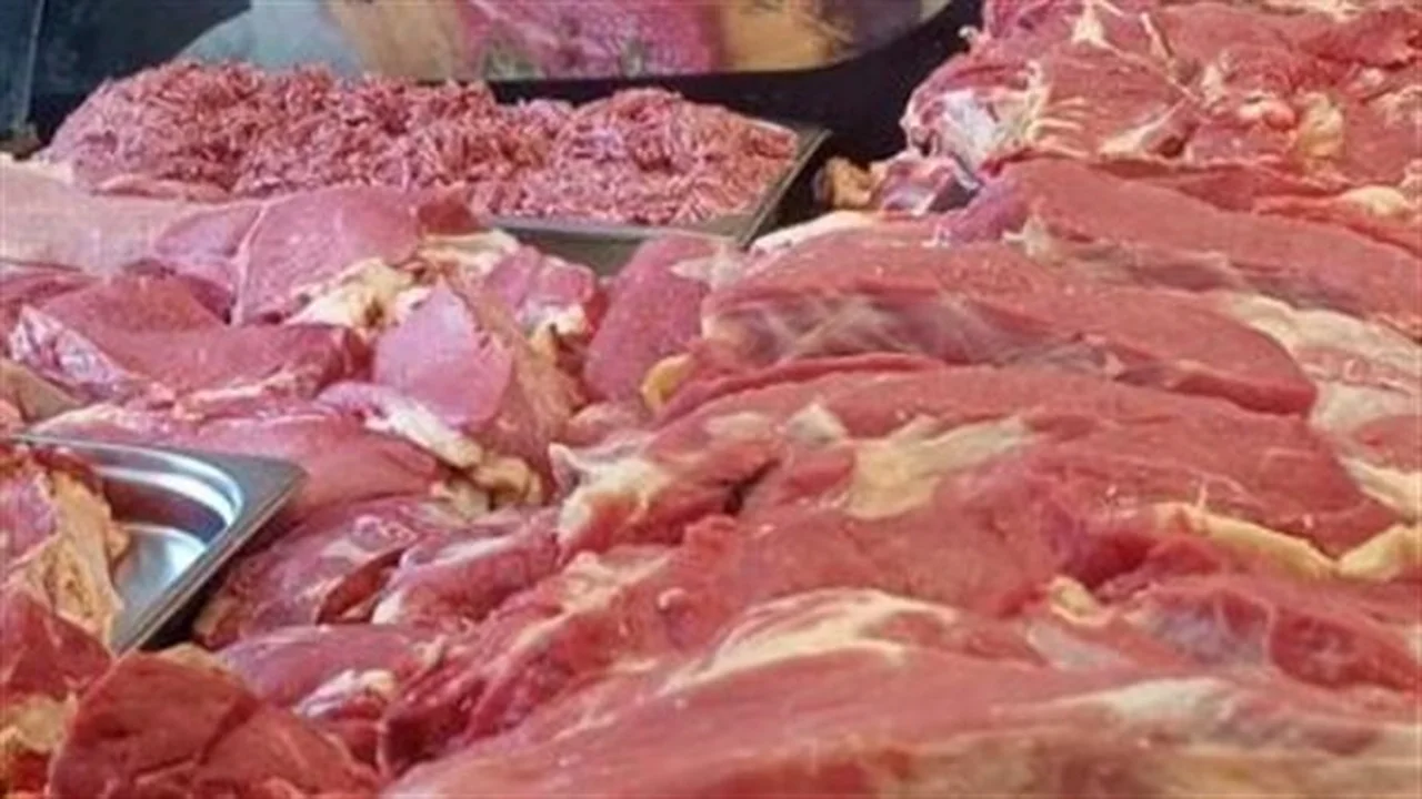 توازن بالأسواق.. استقرار أسعار اللحوم في محلات الجزارة ووفرة بالمنافذ الحكومية